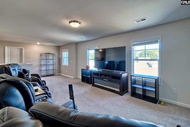 carpeted living room with a wealth of natural light