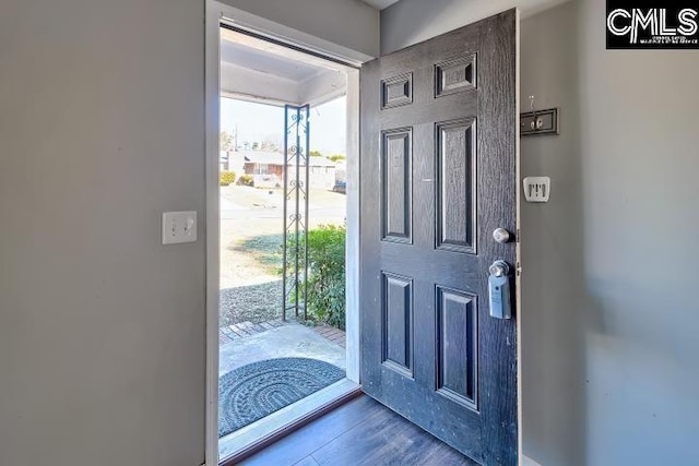 foyer featuring wood-type flooring