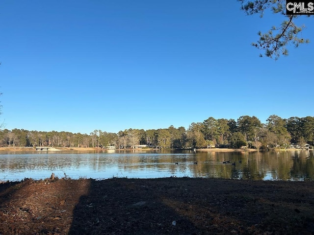 6196 Eastshore Rd, Columbia SC, 29206 land for sale