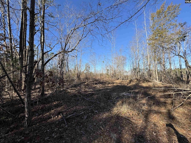 Listing photo 2 for TBD Durham Place Rd, Winnsboro SC 29180