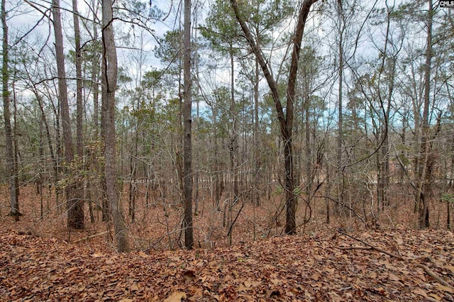 view of nature featuring a forest view