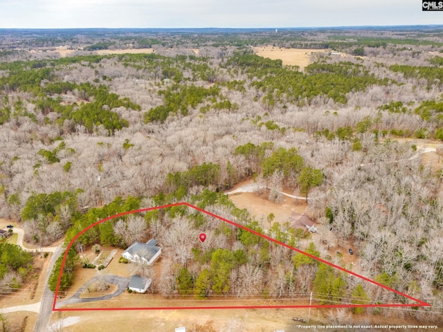 bird's eye view with a wooded view