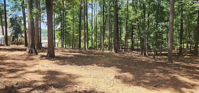 Listing photo 3 for 259 Killian Point Rd, Chapin SC 29036