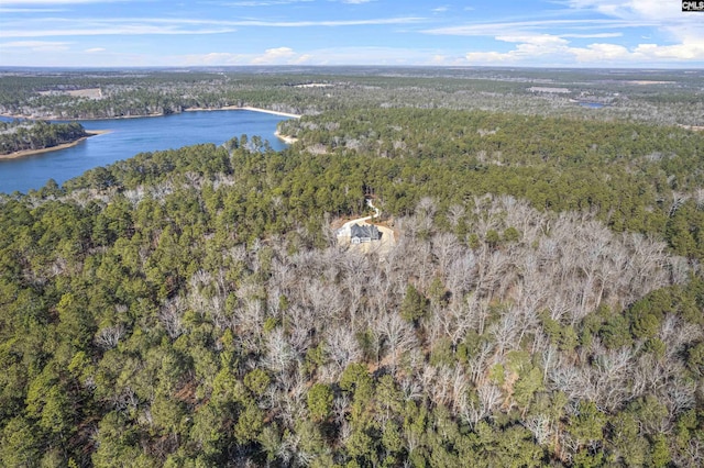 birds eye view of property featuring a water view and a view of trees