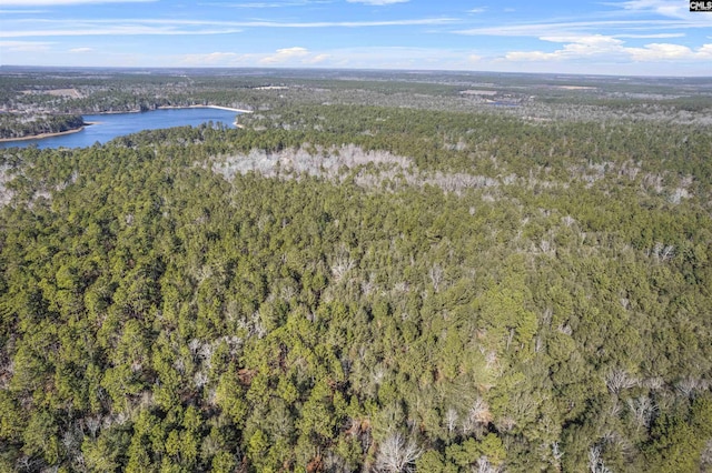 birds eye view of property with a water view and a view of trees