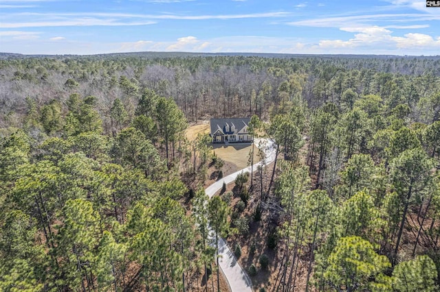 aerial view with a wooded view