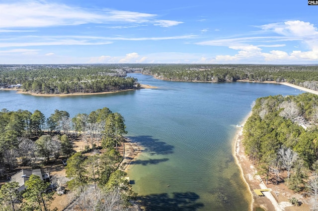 drone / aerial view featuring a water view and a wooded view