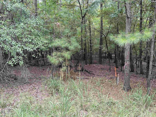 0 Little Saluda Ln Lot 83, Batesburg SC, 29006 land for sale