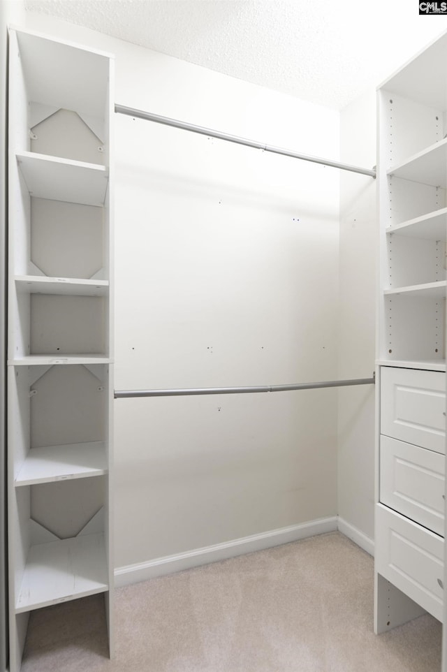 spacious closet featuring light carpet