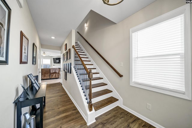 staircase with ceiling fan and wood-type flooring