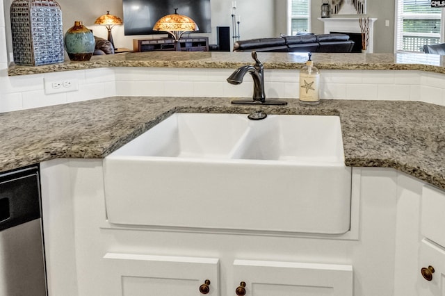 room details with dishwasher and sink