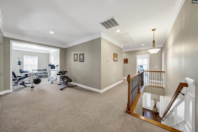 exercise room with carpet floors, a healthy amount of sunlight, and ornamental molding