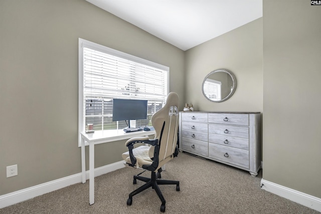 office featuring carpet floors