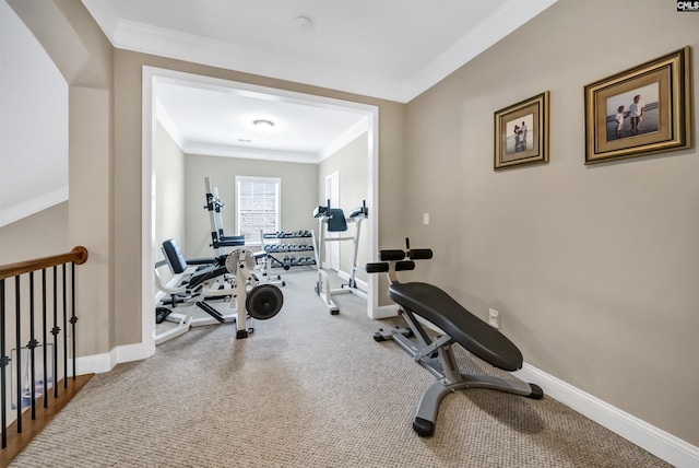 exercise room featuring ornamental molding and carpet