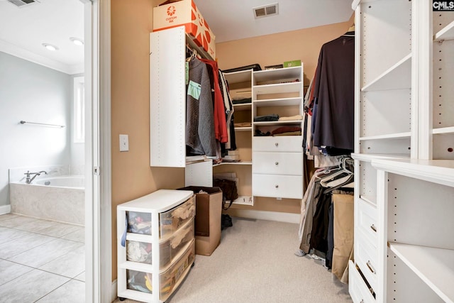 view of spacious closet