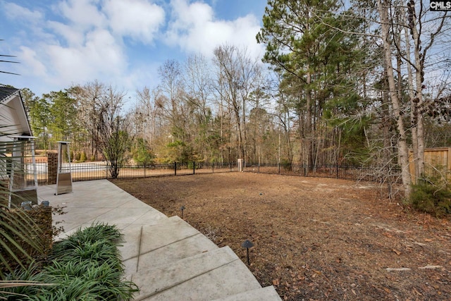 view of yard featuring a patio