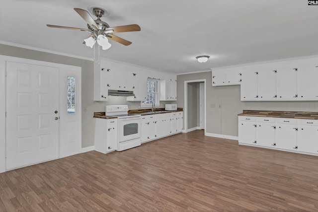 kitchen featuring electric stove, white cabinets, ornamental molding, and light hardwood / wood-style floors