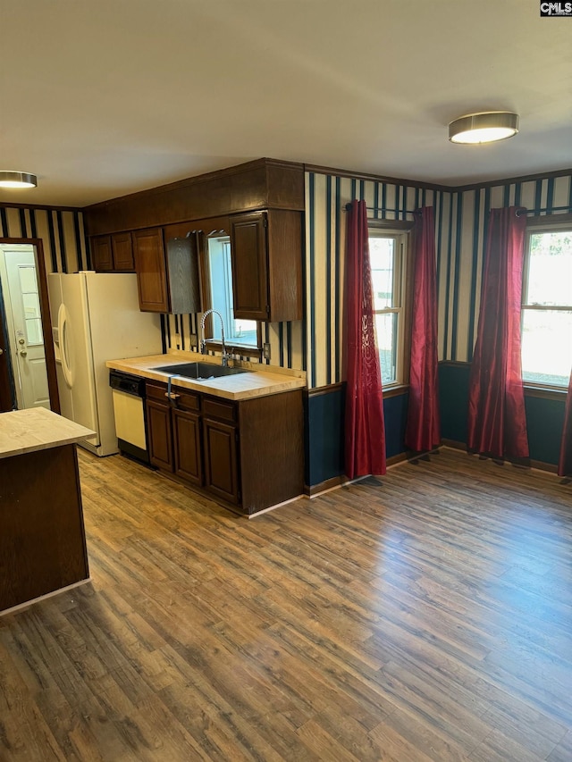 kitchen with a healthy amount of sunlight, dishwasher, sink, and hardwood / wood-style floors