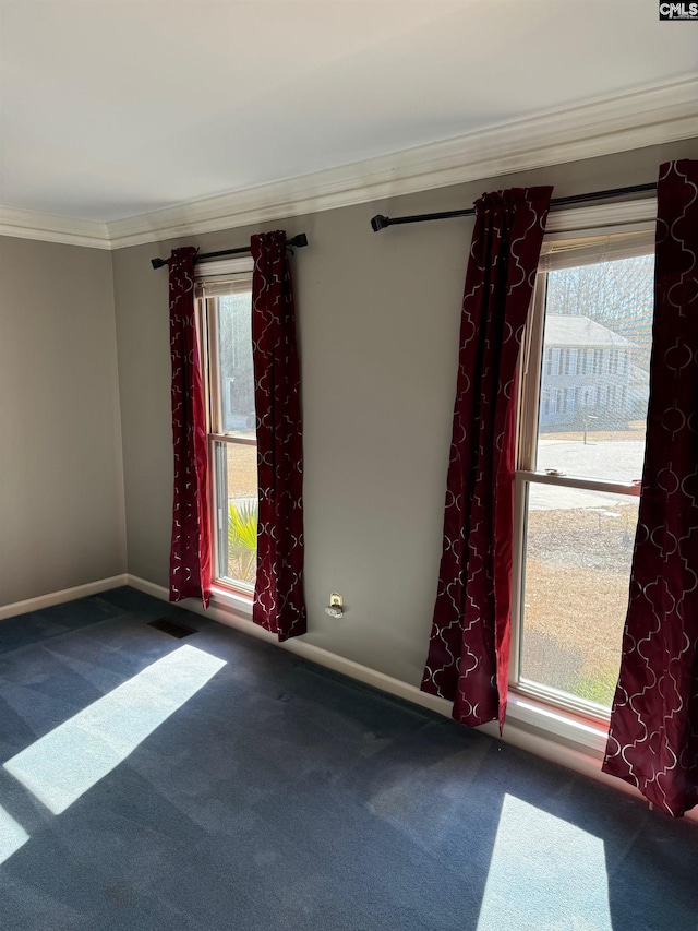 empty room with carpet flooring and crown molding