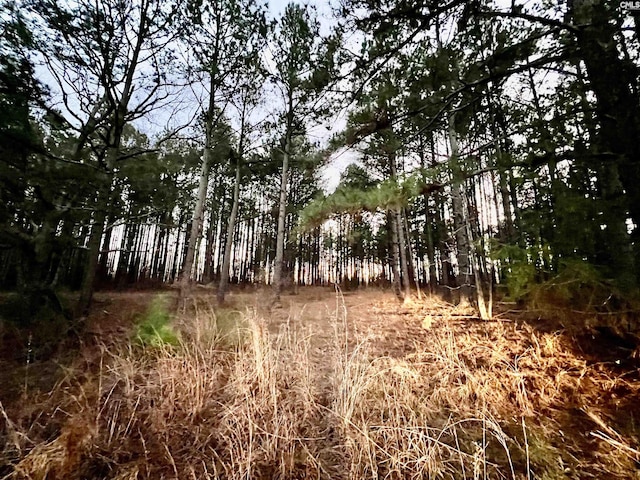 Listing photo 2 for TBD Wateree Rd, Great Falls SC 29055