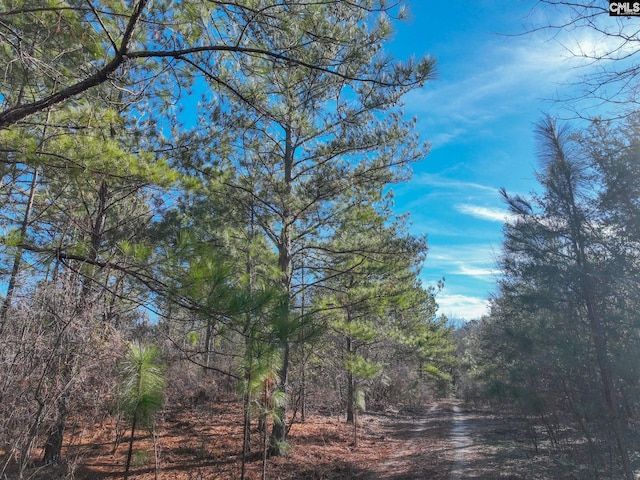 Listing photo 2 for 00 Migrant Camp Rd, Monetta SC 29006