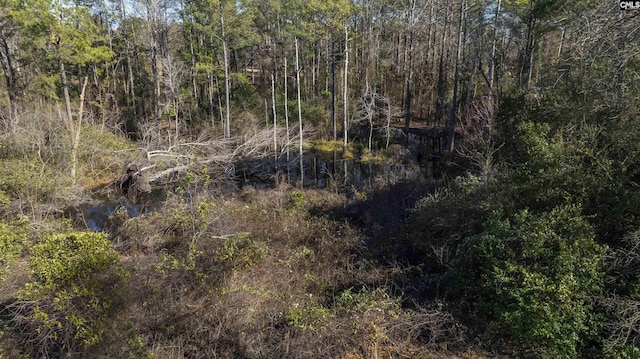 view of local wilderness