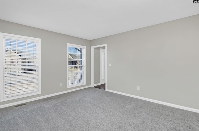 spare room with carpet and a wealth of natural light