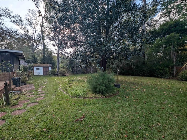 view of yard featuring a shed