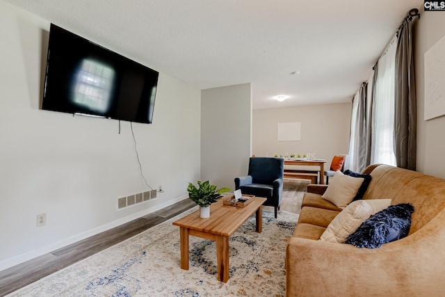 living room featuring hardwood / wood-style floors