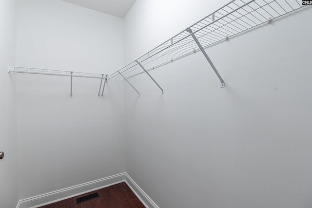 spacious closet featuring wood-type flooring