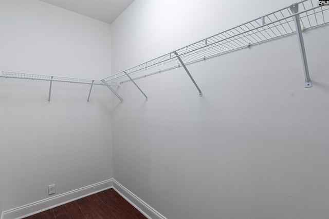 spacious closet featuring hardwood / wood-style flooring