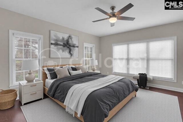 bedroom featuring multiple windows, dark hardwood / wood-style floors, and ceiling fan