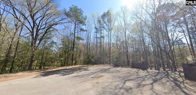 10 Doe Dr, Little Mountain SC, 29075 land for sale