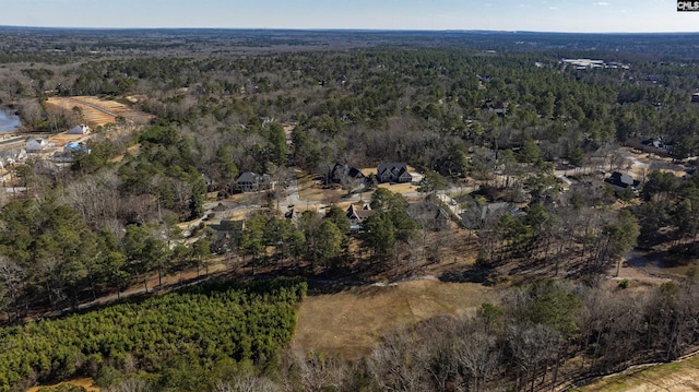 106 Stonebrook Dr, Blythewood, SC 29016 - bird's eye view