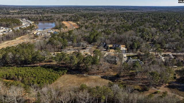 106 Stonebrook Dr, Blythewood, SC 29016 - birds eye view of property featuring a water view