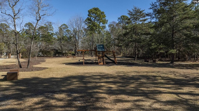 106 Stonebrook Dr, Blythewood, SC 29016 - view of playground