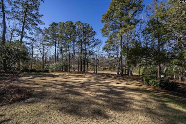 106 Stonebrook Dr, Blythewood, SC 29016 - view of yard