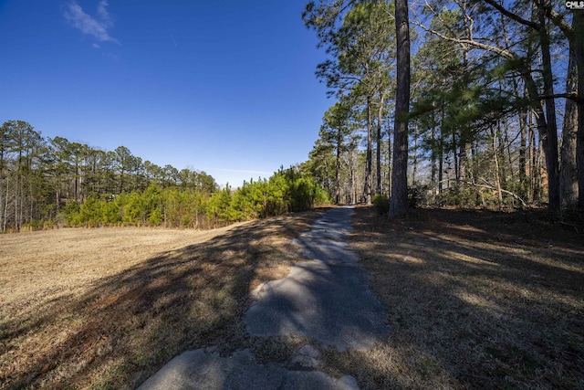 106 Stonebrook Dr, Blythewood, SC 29016 - view of street