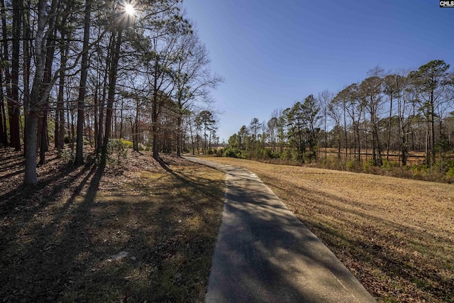 106 Stonebrook Dr, Blythewood, SC 29016 - view of road