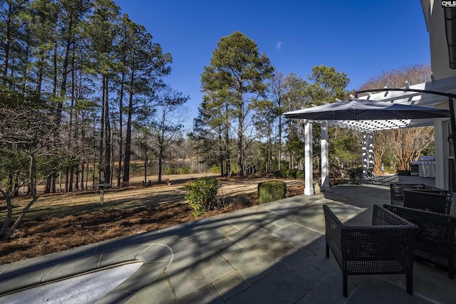 106 Stonebrook Dr, Blythewood, SC 29016 - view of patio with grilling area