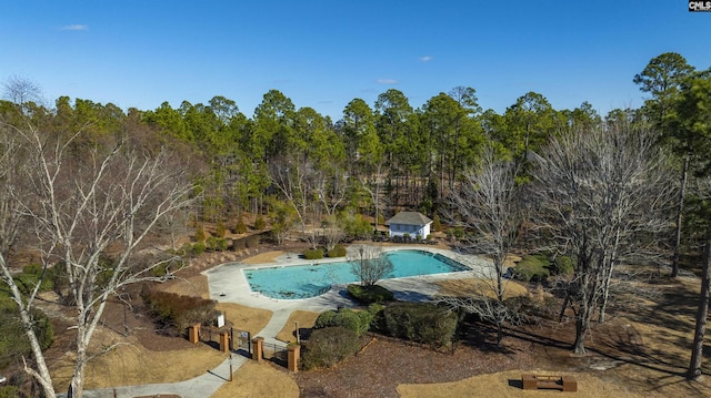 106 Stonebrook Dr, Blythewood, SC 29016 - view of swimming pool