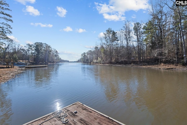 view of dock featuring a water view