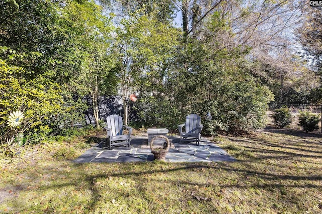 view of yard with a patio