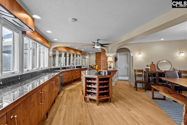 kitchen with a wealth of natural light, light hardwood / wood-style floors, and a kitchen island