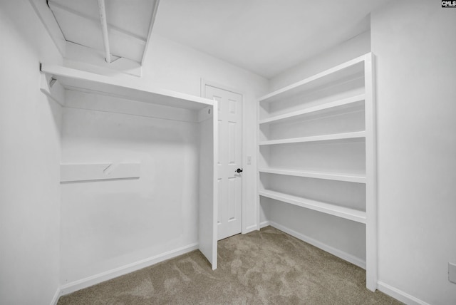 spacious closet with light carpet