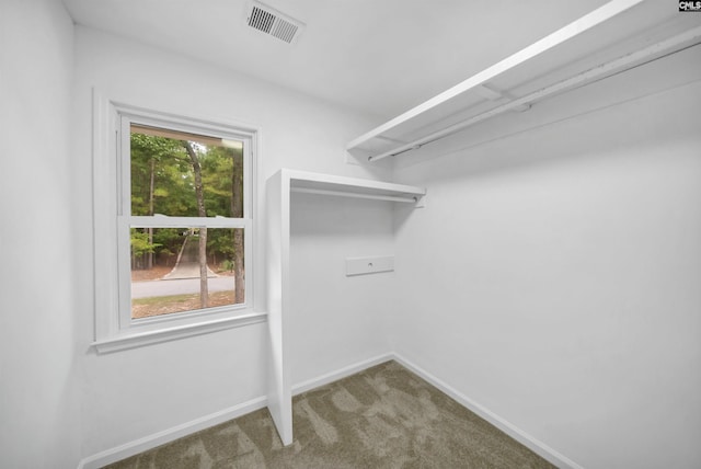 spacious closet with carpet