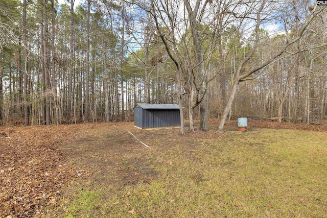 view of yard with a storage shed