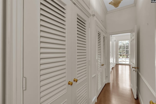 hallway featuring dark hardwood / wood-style floors and ornamental molding