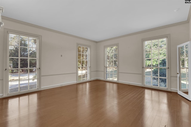 empty room featuring wood-type flooring and ornamental molding