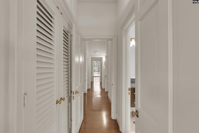 hallway with dark hardwood / wood-style floors and crown molding